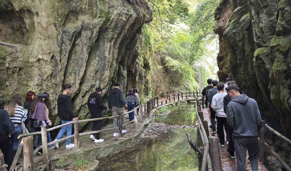 Menteşe Gençlik ve Spor İlçe Müdürlüğü, Damla Deresi Mesire Alanı'nda