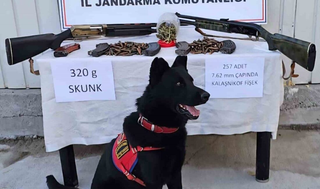 Muş'un Varto ilçesinde S.Ö. adlı kişinin evinde yapılan operasyonda, 320