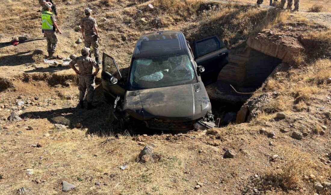 Muş'ta sabah saatlerinde Güdümlü köyü yakınlarında bir otomobil kontrolden çıkarak