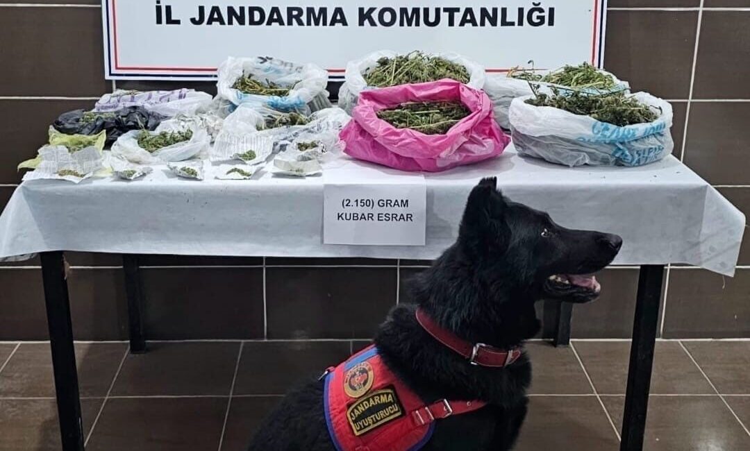 Muş'un Malazgirt ilçesinde yapılan jandarma operasyonunda, İ.T. adlı şahsın evinin