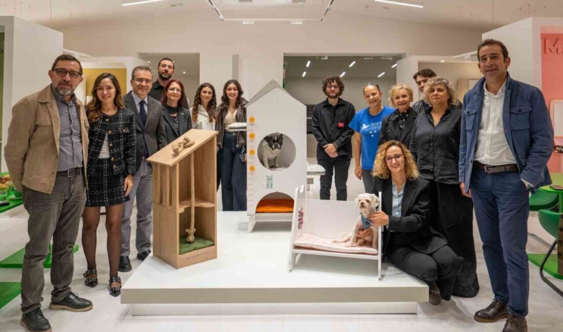 Yaşar Üniversitesi’nden Can Dostlar İçin Anlamlı Proje: Tasarlanan Mobilyalar 15 Ekim’de Satışa Sunulacak Yaşar Üniversitesi, HAYTAP ve Caploonba Orpak Mobilya iş birliğiyle hayvan