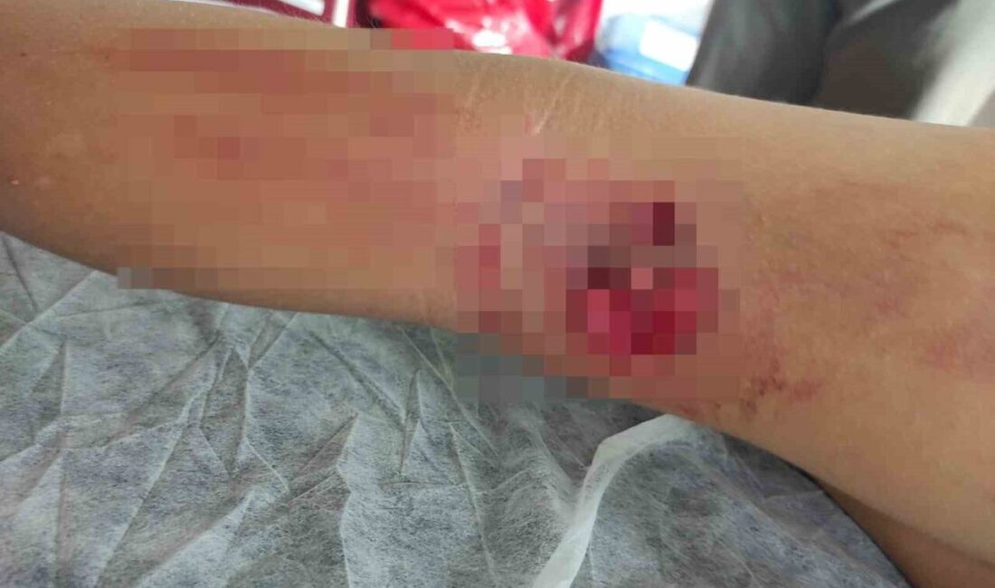 Orhangazi'nin Yeni Sölöz Mahallesi'nde okula giden 8 yaşındaki İ.A., bir