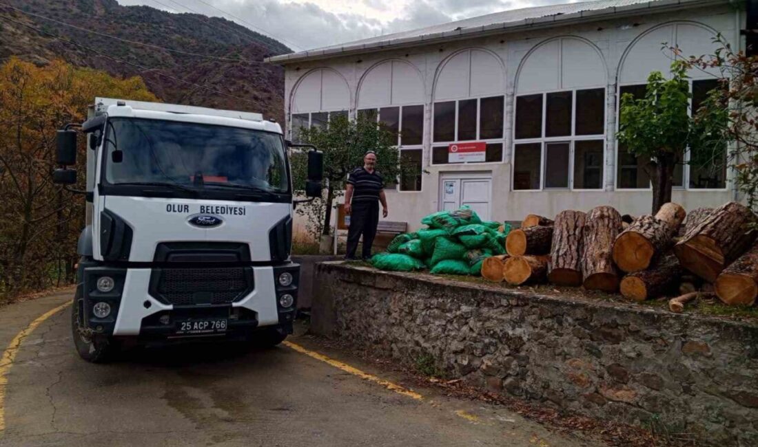 Erzurum'un Olur ilçesindeki camilerin kışlık yakacak ihtiyacı, Olur Belediyesi tarafından