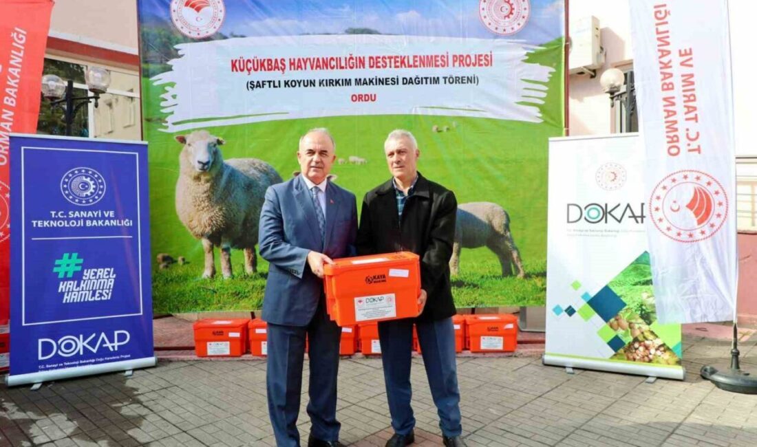 Ordu’da ‘Küçükbaş Hayvancılığın Desteklenmesi Projesi’ çerçevesinde 150 koyun yetiştiricisine, yüzde