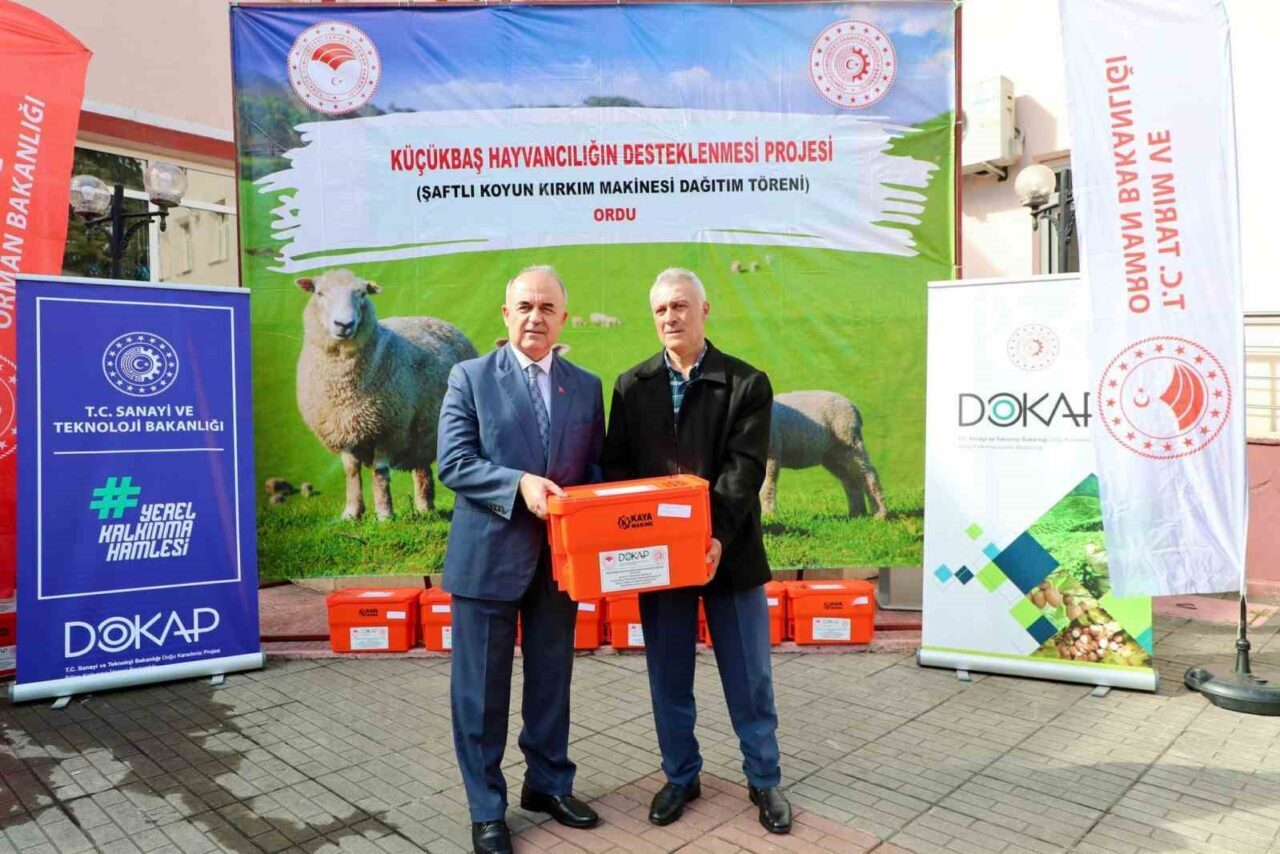 Ordu’da ‘Küçükbaş Hayvancılığın Desteklenmesi Projesi’ çerçevesinde 150 koyun yetiştiricisine, yüzde