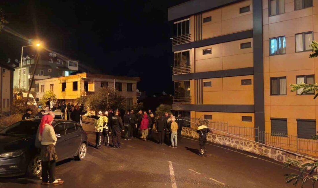 Ordu’da Çatlaklar ve Kaymalar Nedeniyle İki Bina Tahliye Edildi ve Mühürlendi Ordu'nun Altınordu ilçesindeki Güzelyalı Mahallesi'nde, zemin kayması ve çatlaklar nedeniyle