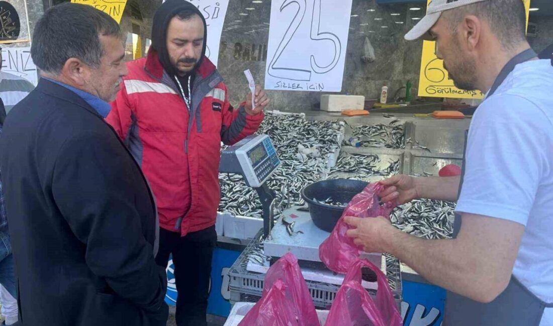 Fatsa’da Hamsi Fiyatı 25 TL ile Sezona Damga Vurdu, Vatandaşlar Sıraya Girdi Karadeniz'de balık sezonu sürerken, Ordu'nun Fatsa ilçesinde hamsinin tezgah fiyatı