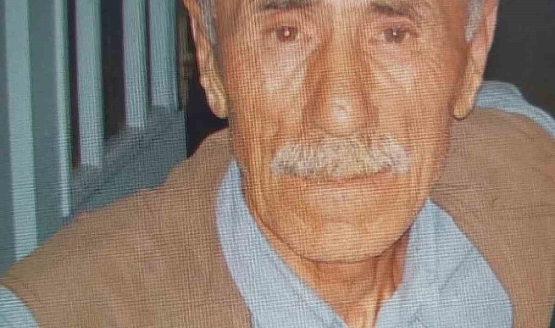 Fatsa’da kamyon ile patpatın çarpışması sonucu bir kişi yaşamını yitirdi Ordu'nun Fatsa ilçesinde, Dursun Güney'in (84) kullandığı patpat ile Volkan