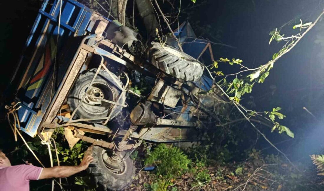 Ordu’nun Ünye ilçesinde 65 yaşındaki Ali Gümüş, fındık odunu taşırken