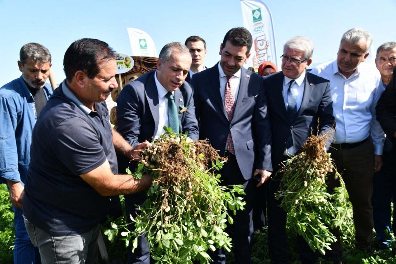 Osmaniye, yer fıstığını tanıtmak için düzenlenecek festivalin tanıtımını yaptı. Belediye