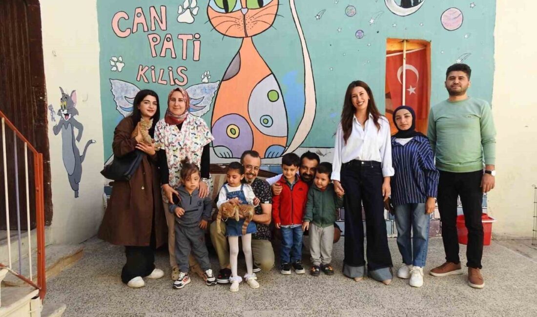 Kilis'te otizmli çocuklar, gönüllülerle birlikte kedi evini ziyaret ederek kedilerle