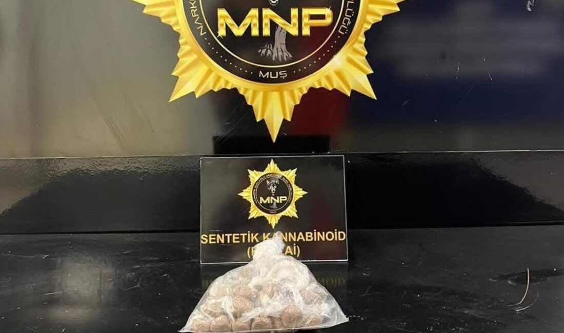 Muş’ta Uyuşturucu Operasyonu: 204 Gram Sentetik Kannabinoid Ele Geçirildi, Bir Kişi Tutuklandı Muş'ta Narkotik Suçlarla Mücadele Şube Müdürlüğü, otobüs terminalinde uyuşturucu ticareti