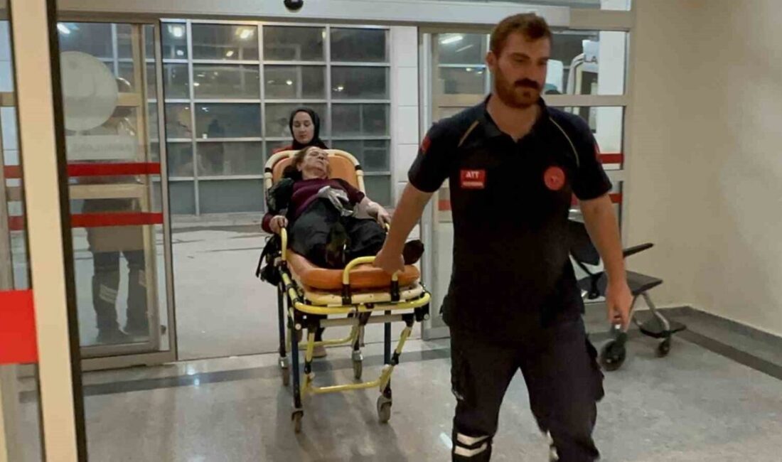 Adıyaman'da 02 AAZ 239 plakalı bir otomobil, yolda yürüyen Remziye