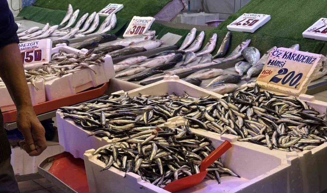 Hamsi, Bu Sezon Tezgahların Gözdesi Olurken, Palamudun Azlığı Fiyatları Etkiliyor Bu yıl hamsi, palamutun yerini alarak balık tezgahlarını süslüyor. Kilosu