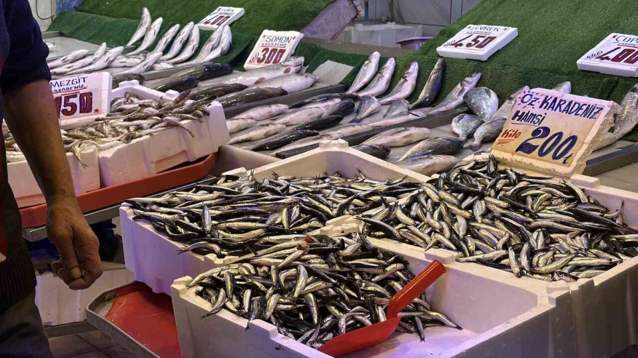 Bu yıl hamsi, palamutun yerini alarak balık tezgahlarını süslüyor. Kilosu