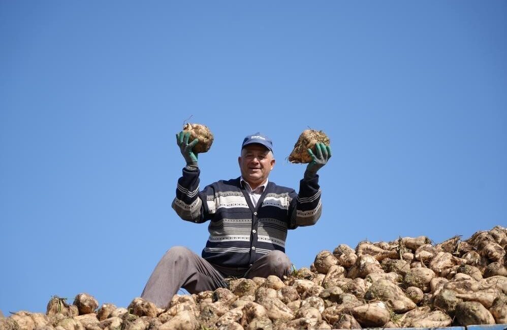 Pancar Üretiminde Düşüş Olmasına Rağmen Şeker Arzında Sorun Yaşanmayacak 2023'te pancar üretiminde %6,5 azalma beklenirken, mevcut şeker stokları ile