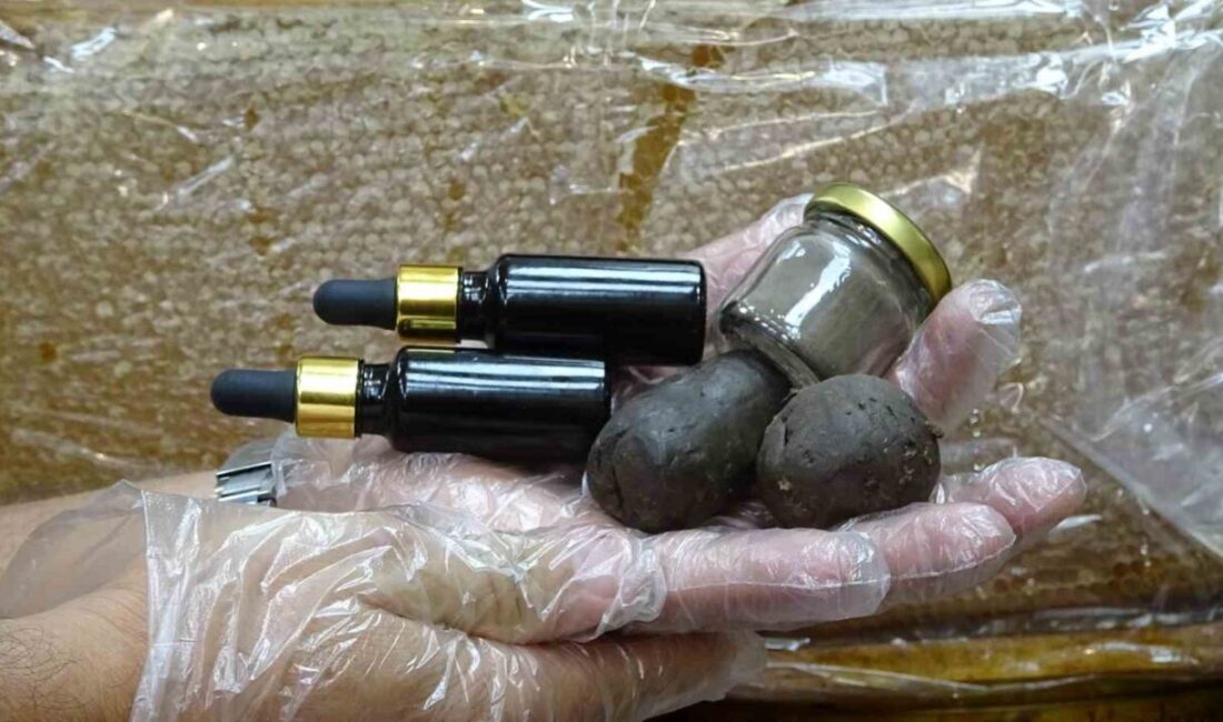 Siirtli Arı Üreticisi, Pandemi Sonrası Propolise Olan Yoğun Talebe Yanıt Veriyor Siirt'te arıcılık yapan Cemal Tomris, Pervari yaylalarında yoğun emekle ürettiği