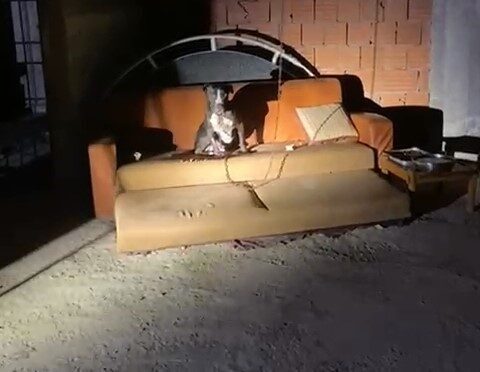 Bursa'nın Mudanya ilçesinde, F.K. adlı kişinin cezaevinden çıktıktan sonra yaşadığı