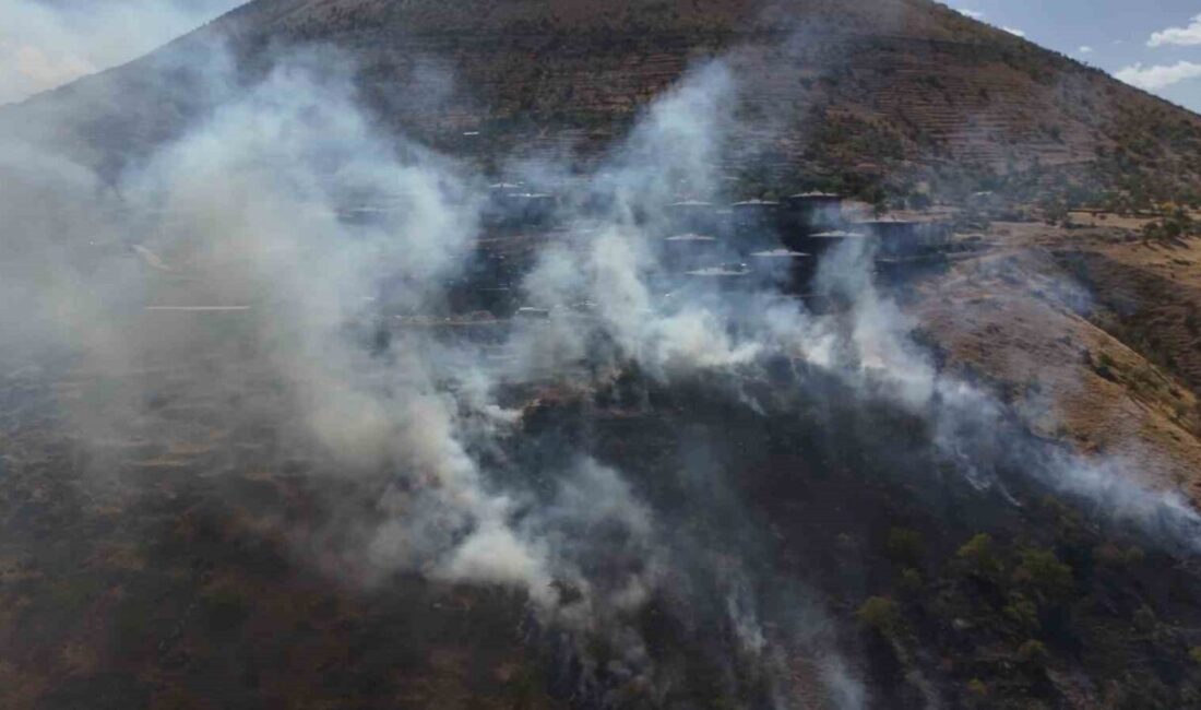 Kayseri'nin Talas ilçesinde ormanlık alanda çıkan yangın, patlıcan közlenmesinden kaynaklandı.