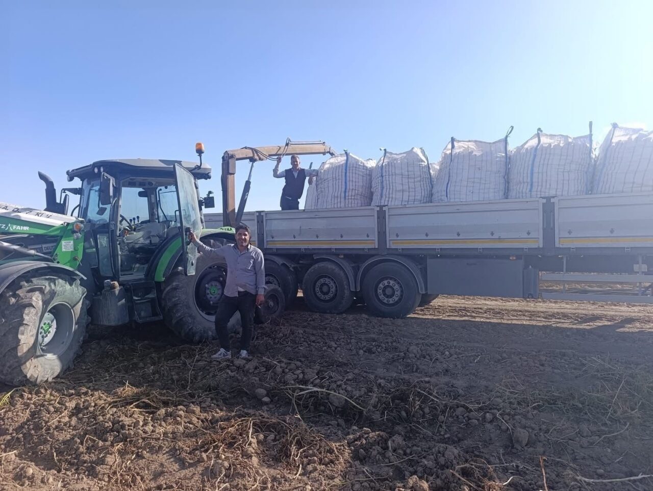 Patnos'ta patates hasadı başladı, çiftçiler sezonun ilk ürünlerini toplamaya başladı.