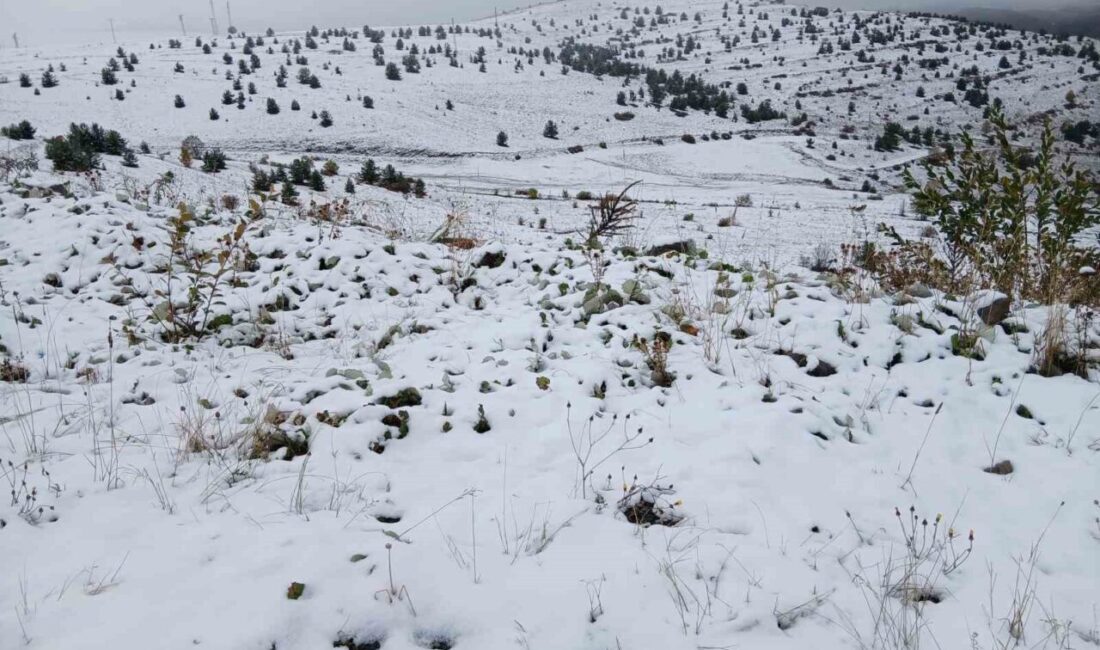 Posof’ta Kar Yağışı, Doğanın Güzel Manzaralarını Ortaya Çıkardı Ardahan'ın Posof ilçesinde gece yarısından itibaren kar yağışı etkili oldu