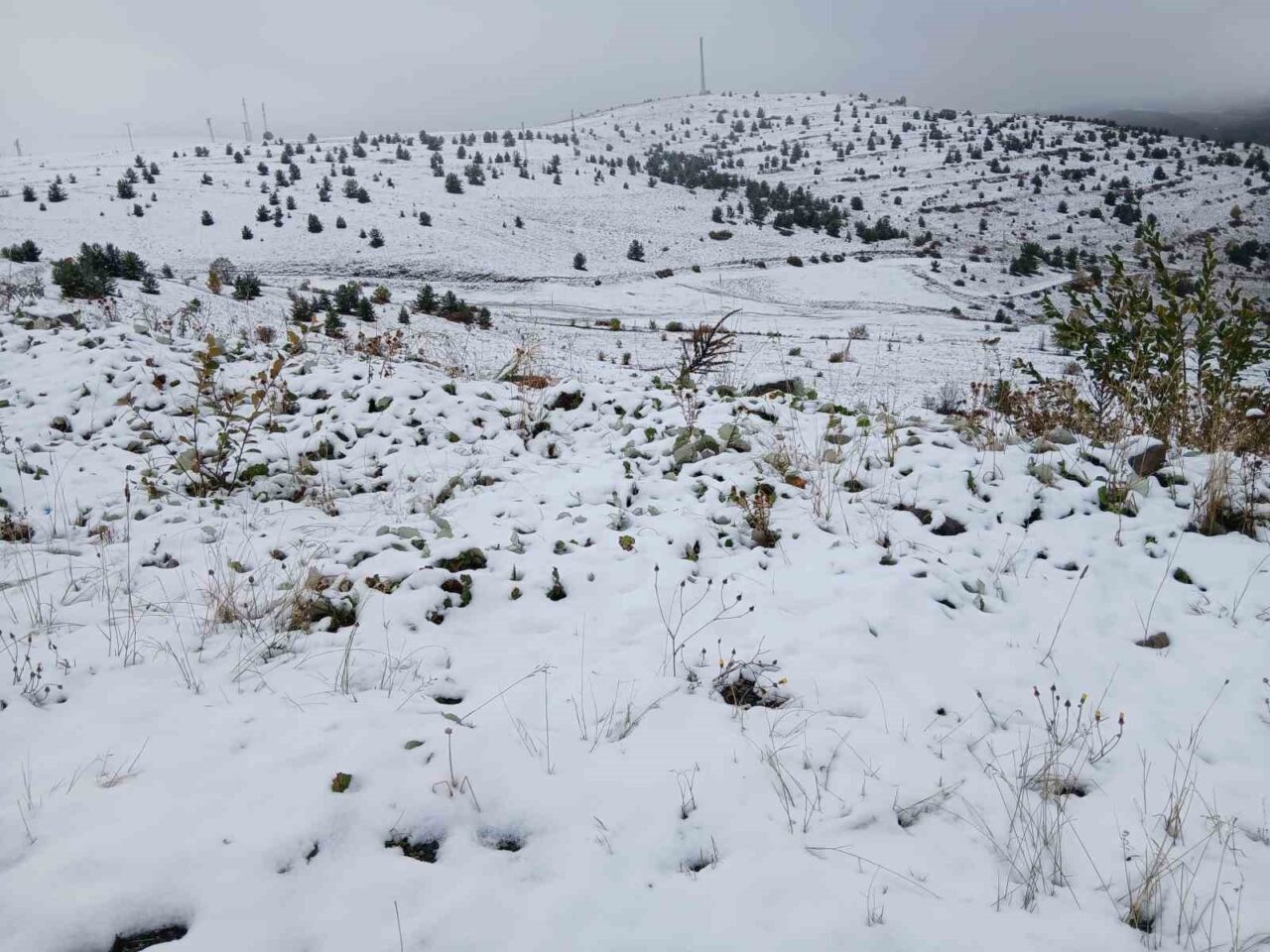Ardahan'ın Posof ilçesinde gece yarısından itibaren kar yağışı etkili oldu
