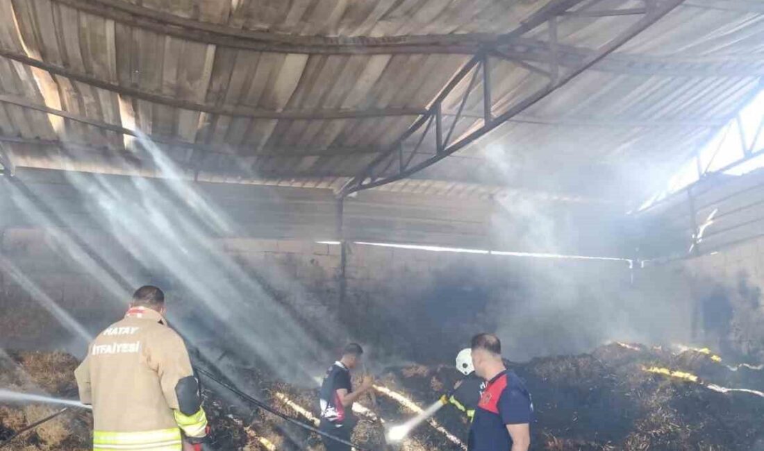 Hatay'ın Reyhanlı ilçesindeki Beşaslan Mahallesi'nde bir ahırın samanlığında çıkan yangın,