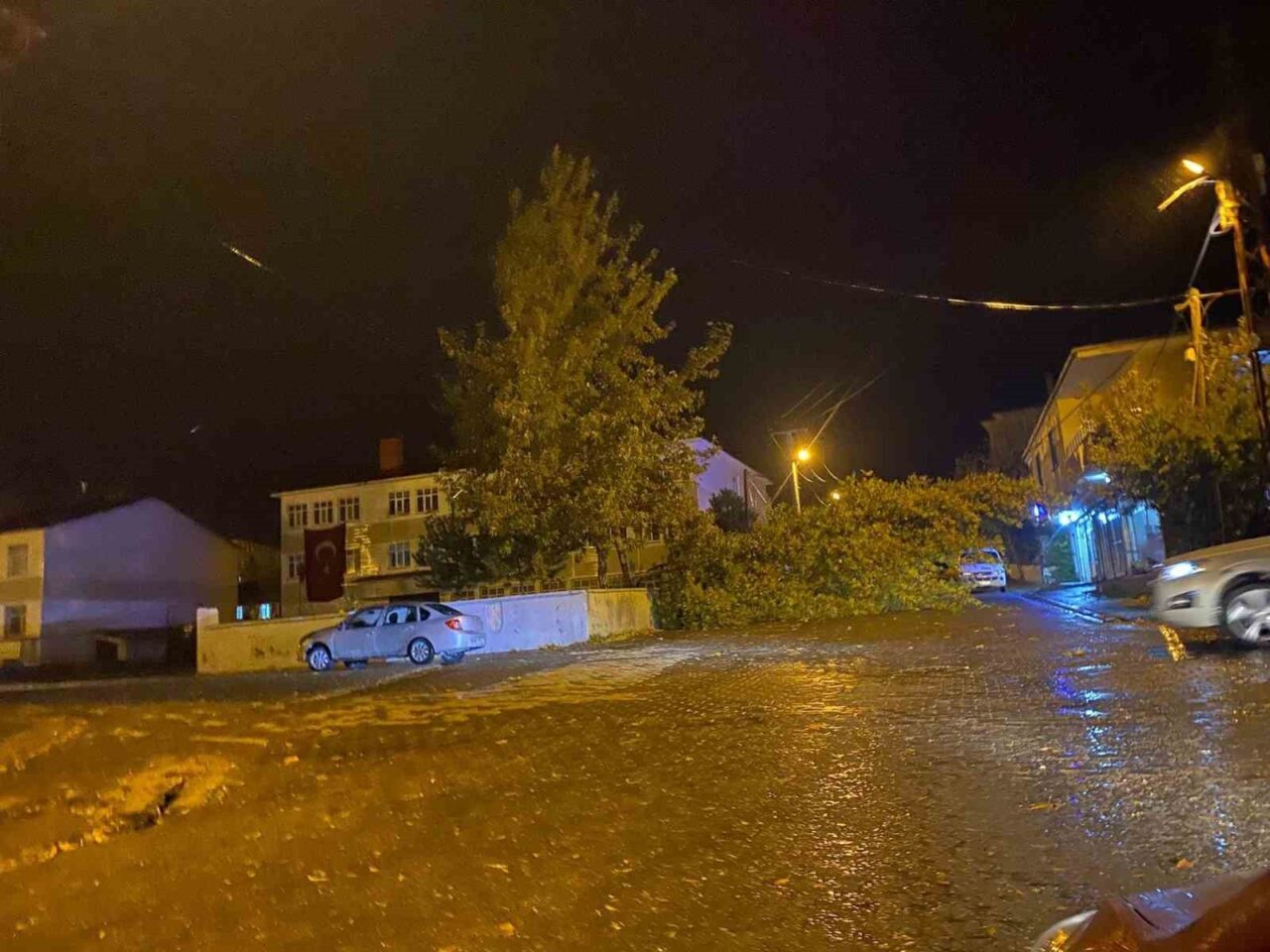 Tatvan’da Şiddetli Rüzgar, Park Halindeki Aracın Üzerine Ağaç Devrilmesine Neden Oldu