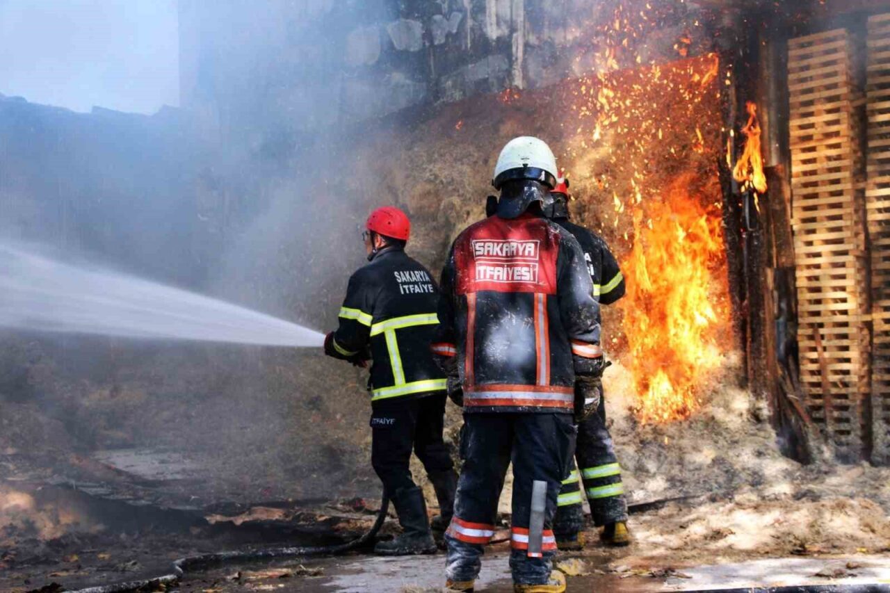 Akyazı’daki Ahşap Atölyesinde Yangın, İtfaiye Ekiplerinin Hızlı Müdahalesiyle Kontrol Altına Alındı
