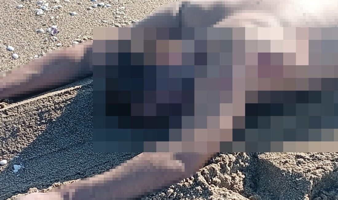Sakarya'nın Karasu ilçesinde, Denizköy Mahallesi sahilinde çıplak bir erkek cesedi