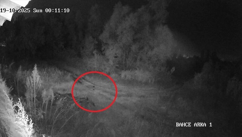 Samsun’da Kayıp Genç İçin Mahallede Gergin Bekleyiş Devam Ediyor