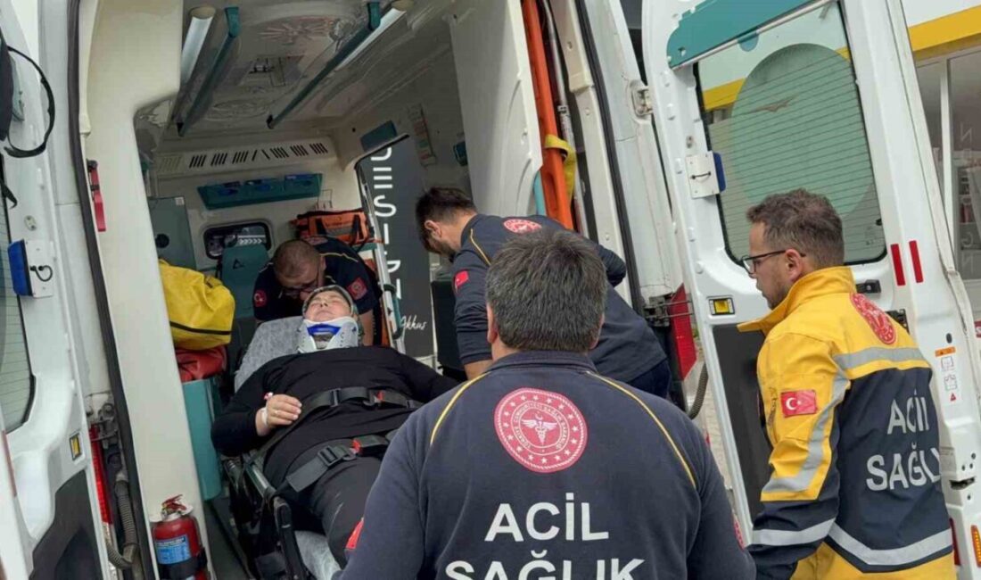 Samsun’da minibüs kullanan sürücünün kontrolünü kaybetmesi sonucu iki yolcu yaralandı. Samsun'un Tekkeköy ilçesinde bir dolmuş minibüs, manevra yaparken kaldırıma çarptı.