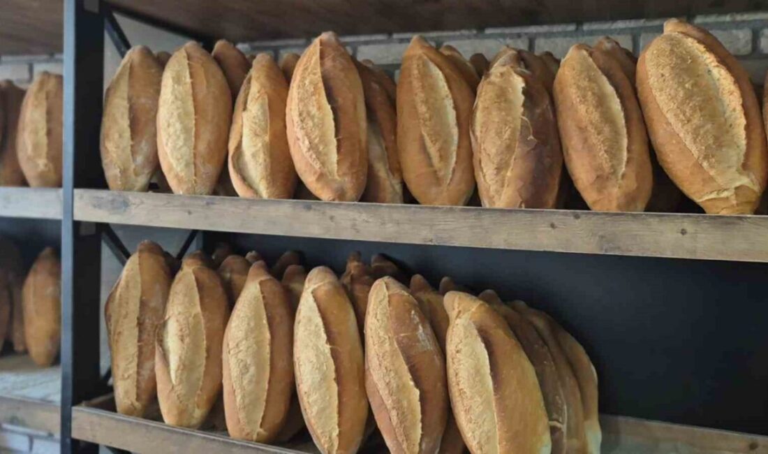 Samsun'da 210 gram somun ekmeğin fiyatı 12,5 TL'den 15 TL'ye