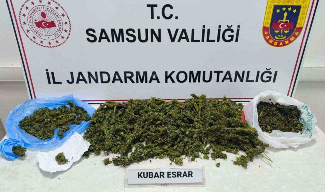 Samsun’un Çarşamba İlçesinde Uyuşturucu Operasyonu: 2 Kilo 785 Gram Esrar Ele Geçirildi Samsun'un Çarşamba ilçesinde jandarma, 28 yaşındaki S.F.K.'nin evinde yaptığı aramada