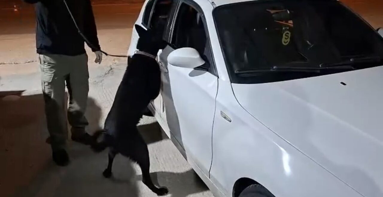 Samsun'da Narkotik Suçlarla Mücadele Şube Müdürlüğü ekipleri, Havza'da durdurduğu araçta