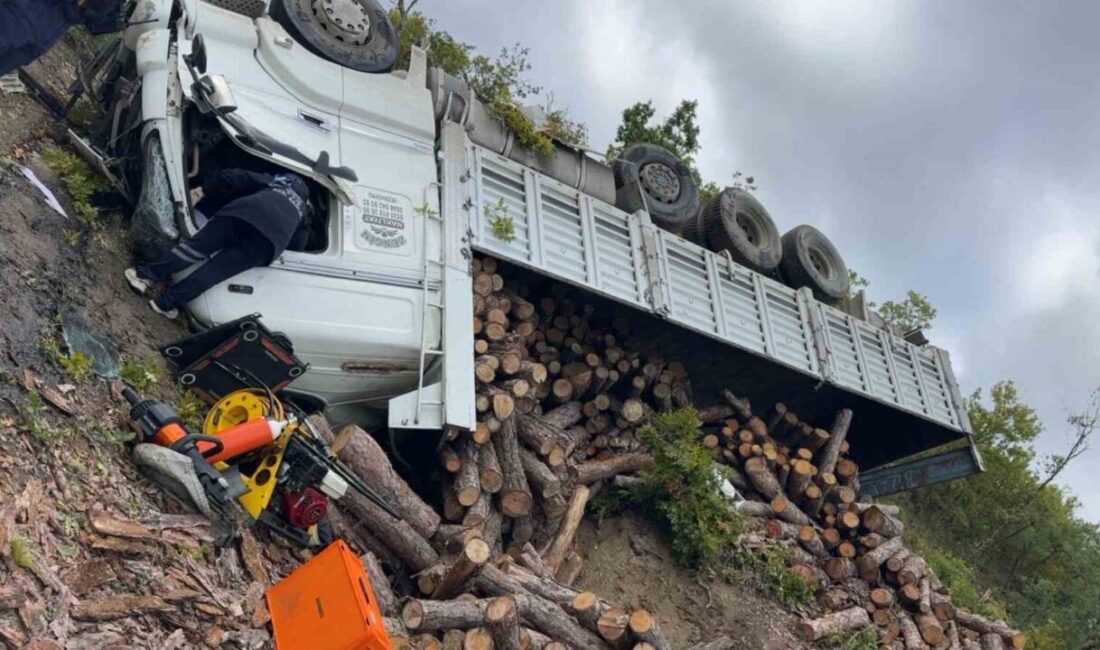 Samsun'un Vezirköprü ilçesinde odun yüklü kamyonun devrilmesi sonucu sürücü Hayati