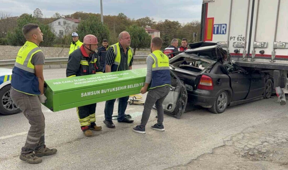 Samsun’da Tıra Arkadan Çarpan Otomobilin Sürücüsü Hayatını Kaybetti Samsun'da 23 yaşındaki Kadir Görkem Şahin'in kullandığı otomobil, tıra arkadan