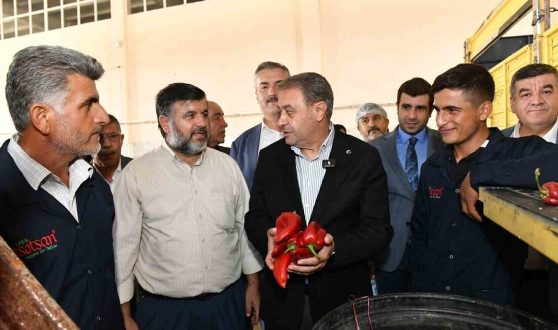 Şanlıurfa Valisi Hasan Şıldak, Gıda İhtisas Organize Sanayi Bölgesi'nde incelemelerde