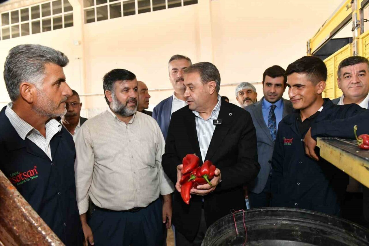 Şanlıurfa Valisi Hasan Şıldak, Gıda İhtisas Organize Sanayi Bölgesi'nde incelemelerde