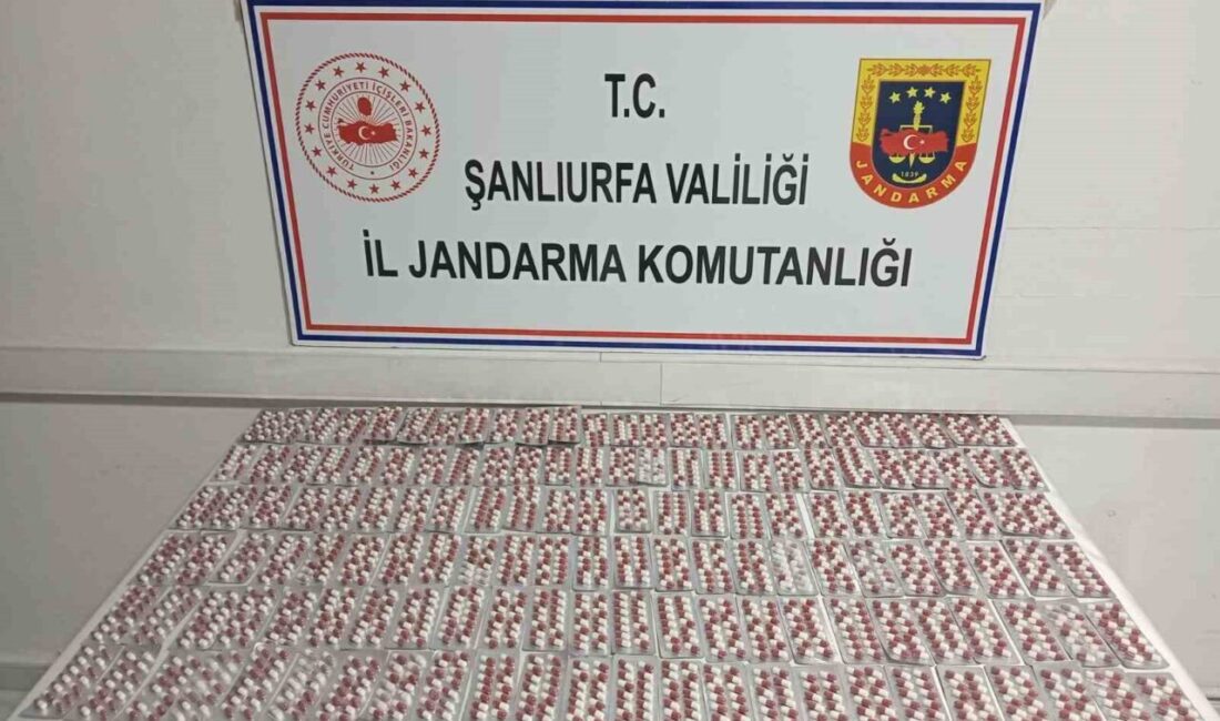 Şanlıurfa'da jandarma, uyuşturucu taşımakla suçlanan bir şahsın aracında 2 bin