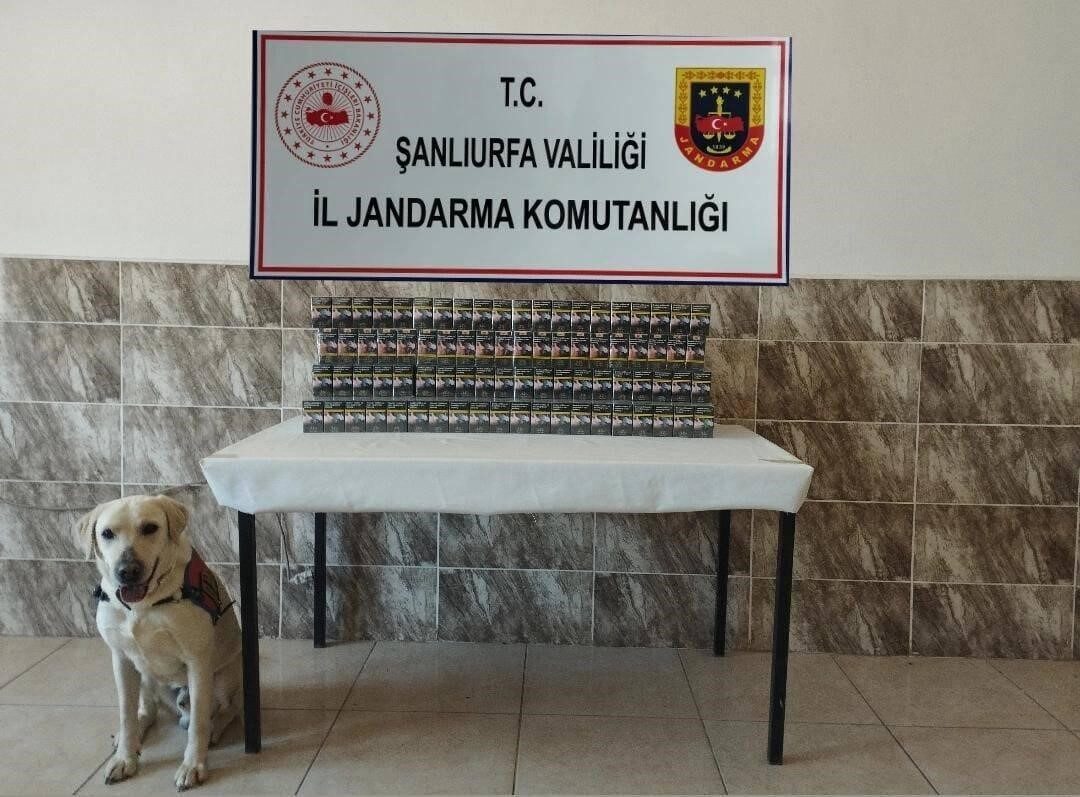 Şanlıurfa İl Jandarma Komutanlığı, 13-14 Ekim 2025 tarihlerinde Viranşehir ve