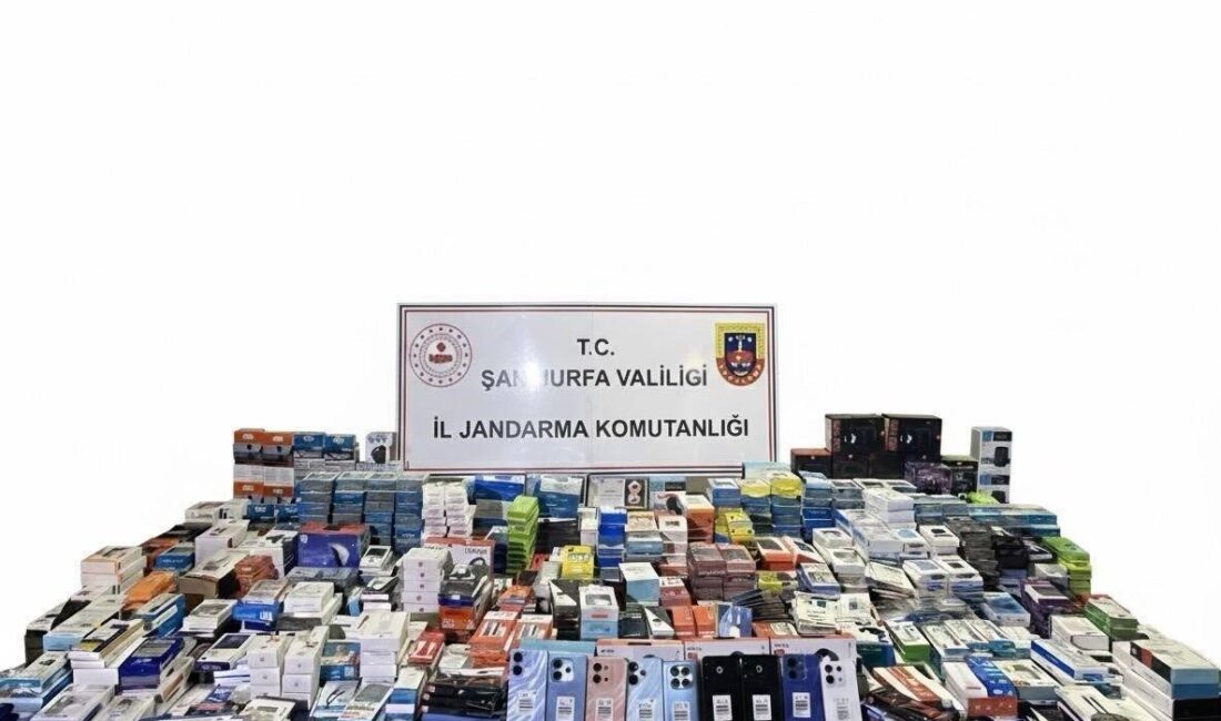 Şanlıurfa'da jandarma, Birecik'te yaptığı operasyonda, gümrük kaçağı 9 cep telefonu