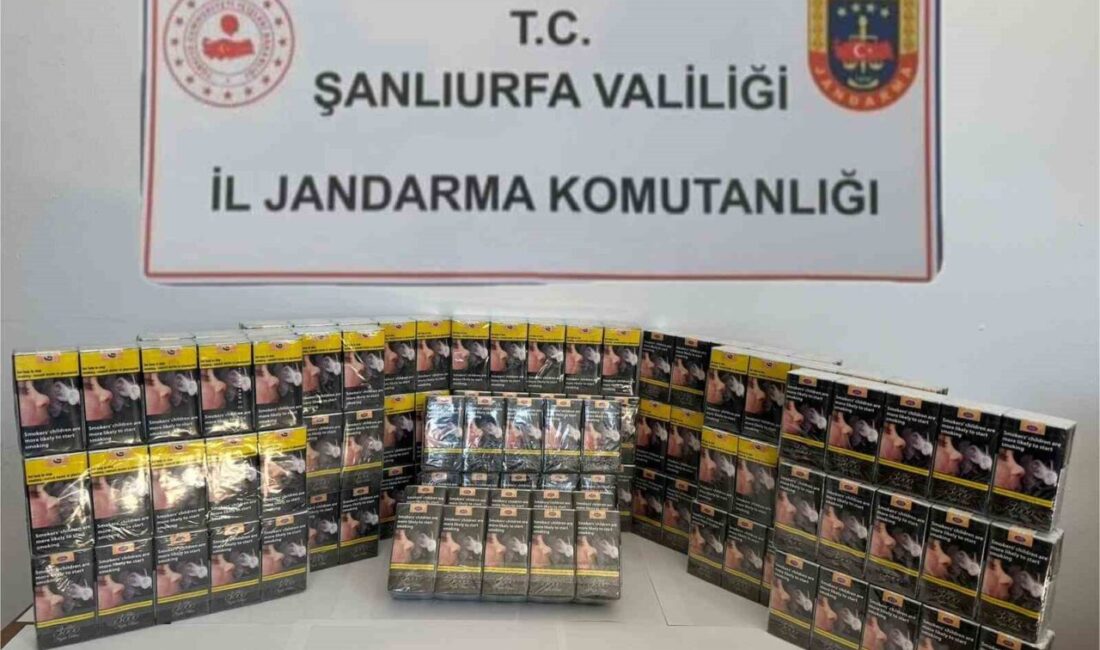 Şanlıurfa'da jandarma, tütün ve alkol kaçakçılarına karşı operasyon gerçekleştirdi. Yapılan