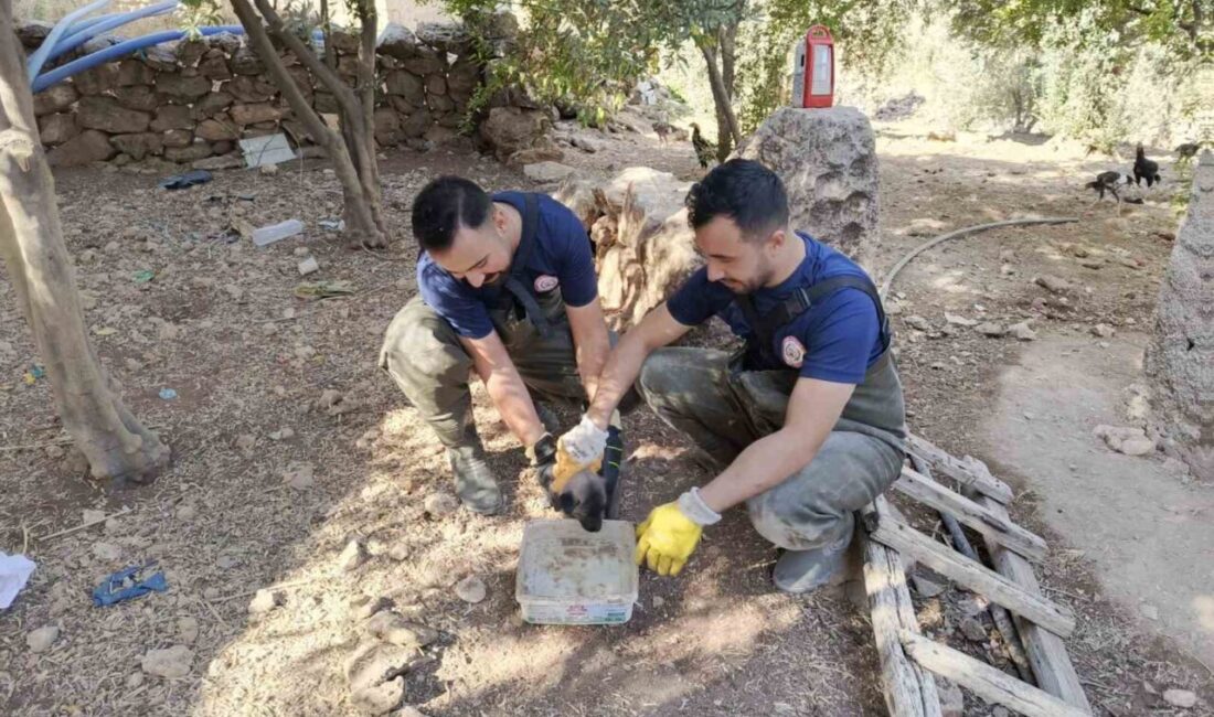 Karaköprü’de Foseptik Çukuruna Düşen Yavru Köpek, İtfaiye Ekiplerince Kurtarıldı Şanlıurfa'nın Karaköprü ilçesindeki Örcünlü Mahallesi'nde bir köpek yavrusu foseptik çukuruna