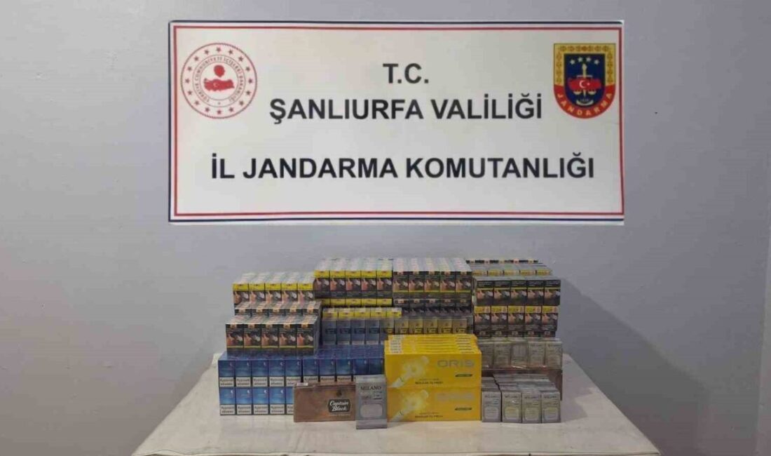 Şanlıurfa'da jandarma, Viranşehir ve Ceylanpınar'da gerçekleştirdiği operasyonlarla gümrük kaçağı 2