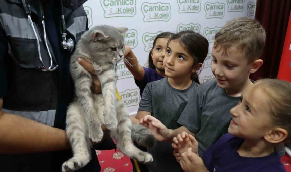 Şanlıurfa Büyükşehir Belediyesi, 4 Ekim Dünya Hayvanları Koruma Günü'nü kutlamak
