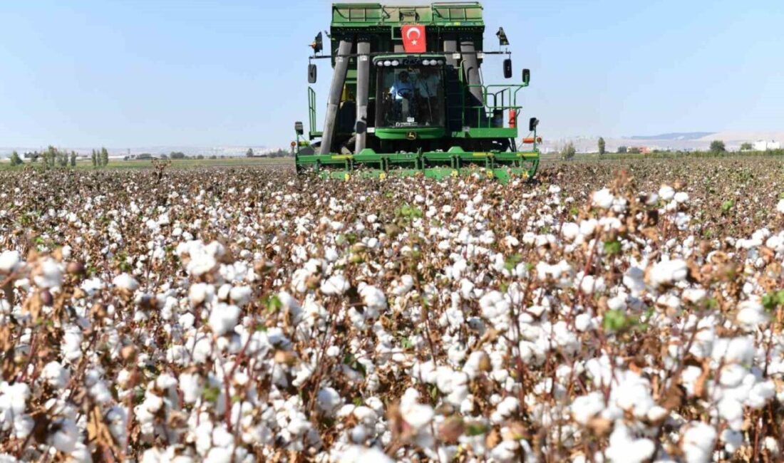 Şanlıurfa Valiliği, pamuk kalitesini korumak ve verimliliği artırmak için 22