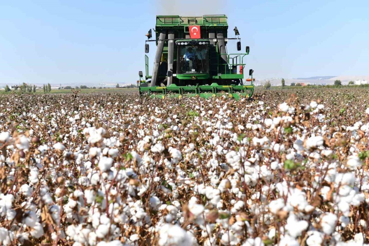 Şanlıurfa Valiliği, pamuk kalitesini korumak ve verimliliği artırmak için 22