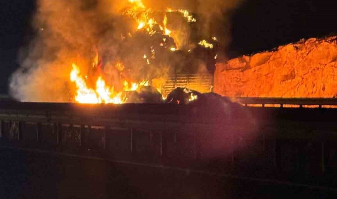 Şanlıurfa'da seyir halindeki bir tır, aniden alev alarak tamamen yandı.