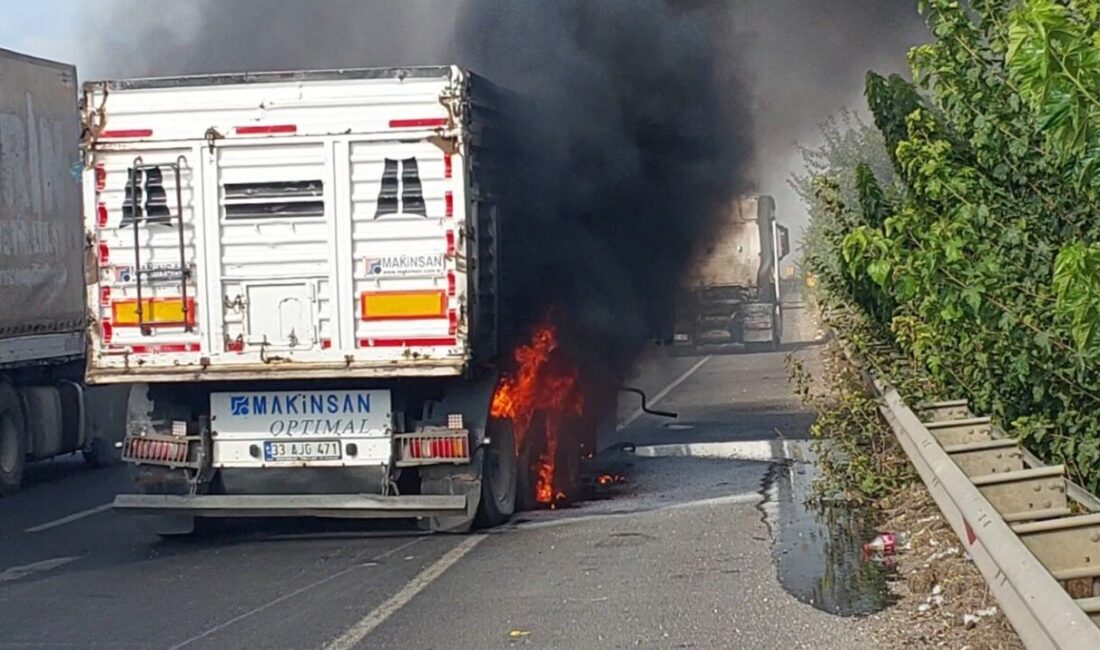 Şanlıurfa'nın Viranşehir ilçesinde seyir halindeki bir tır, tekerleklerinden duman çıkması